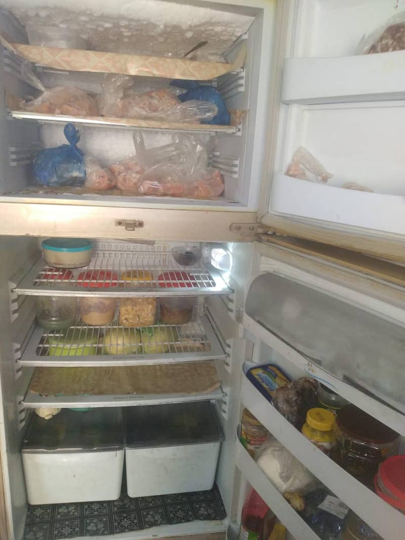 Fridge 1