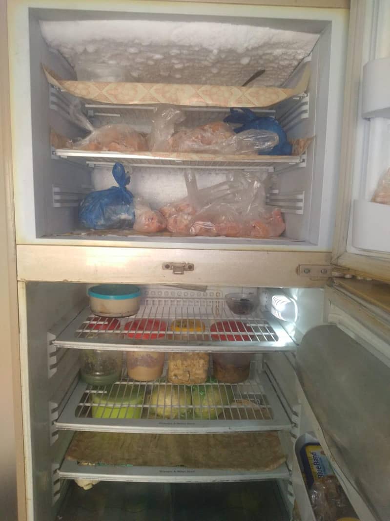Fridge 3
