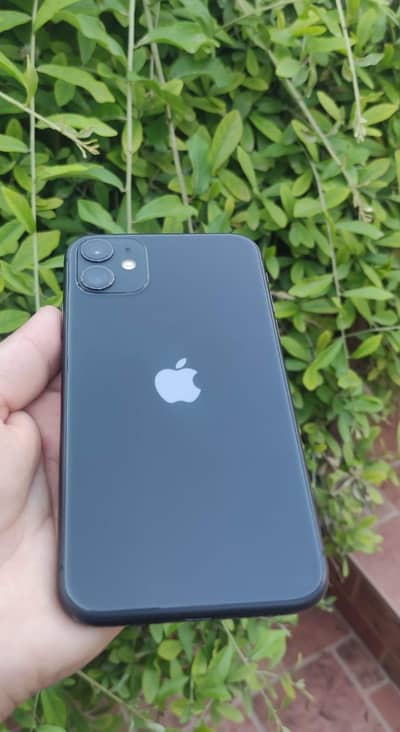 iPhone 11 JV