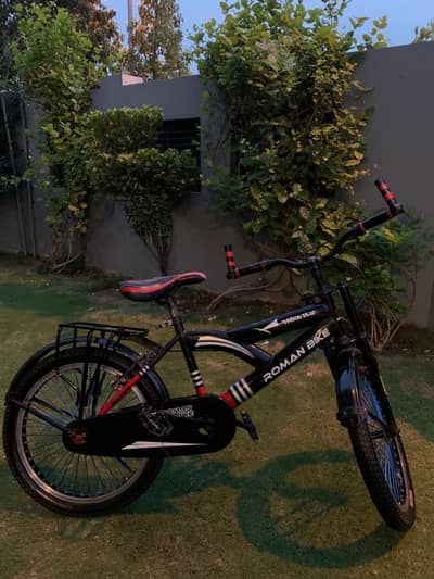 Roman company sports cycle size 22