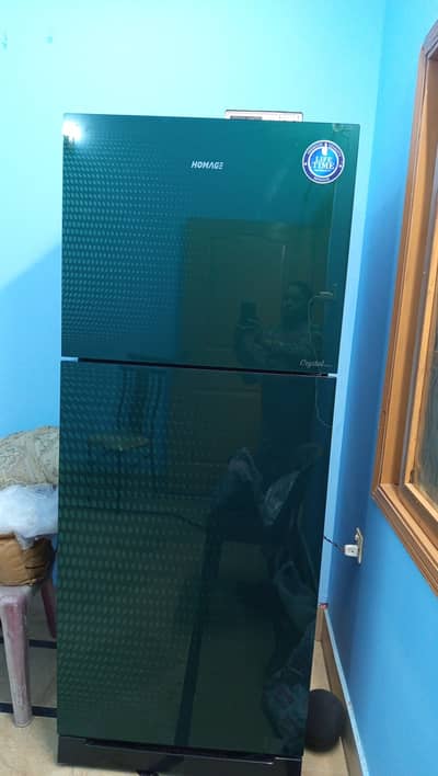 One touch homage refrigerator for sale