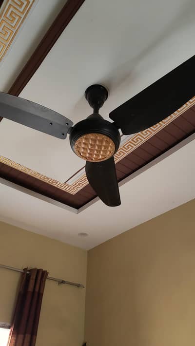 celling fan