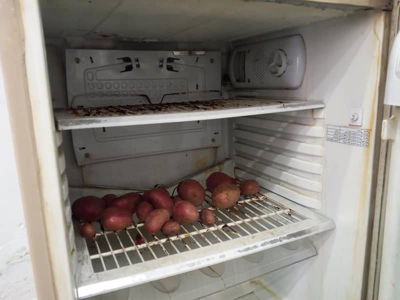 pel fridge 2