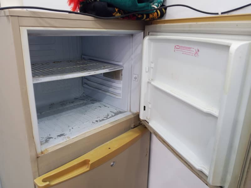 pel fridge 7