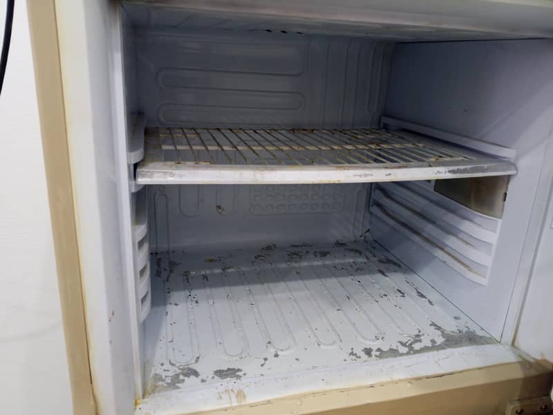 pel fridge 8