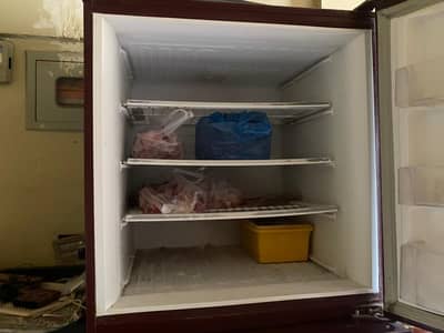 PEL Full Size Refrigerator, Excellent Condition, Net and Clean
