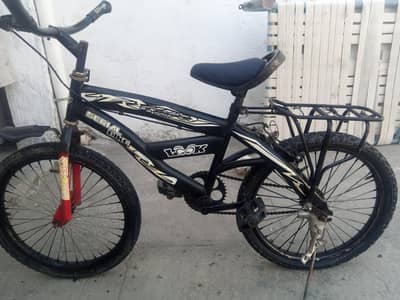bicycle for 12 years kids