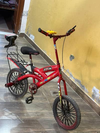 sports willing cycle (Rajpoot 46)