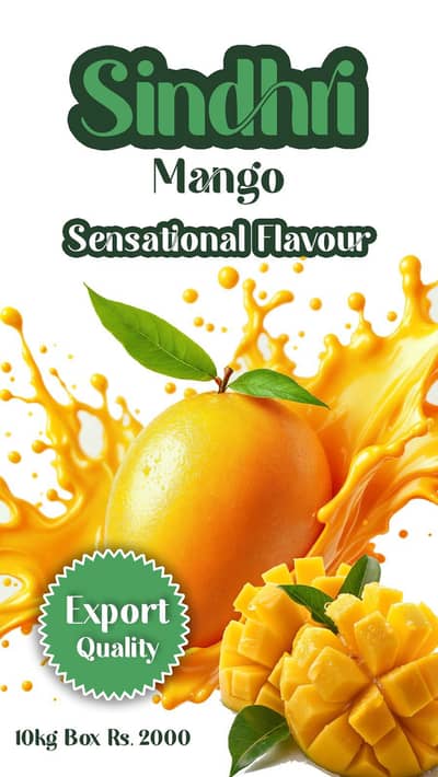 Sindhri and Langra Fresh Farm Mango 10Kg Petti