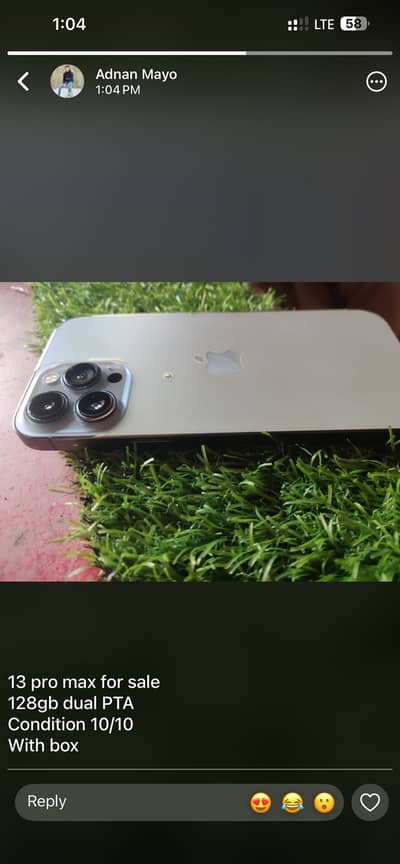 13 pro max pta