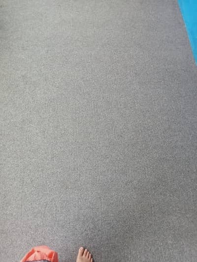 Grey Carpet purchase in ramdan 2026