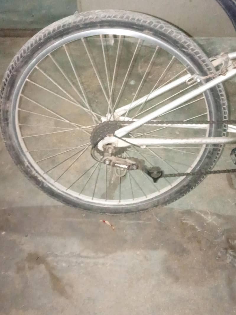 Bicycle 2