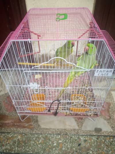 parrot cage beautiful large size. 03164900503