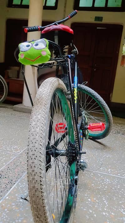 cycle