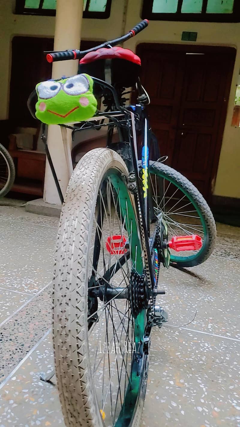 cycle 0