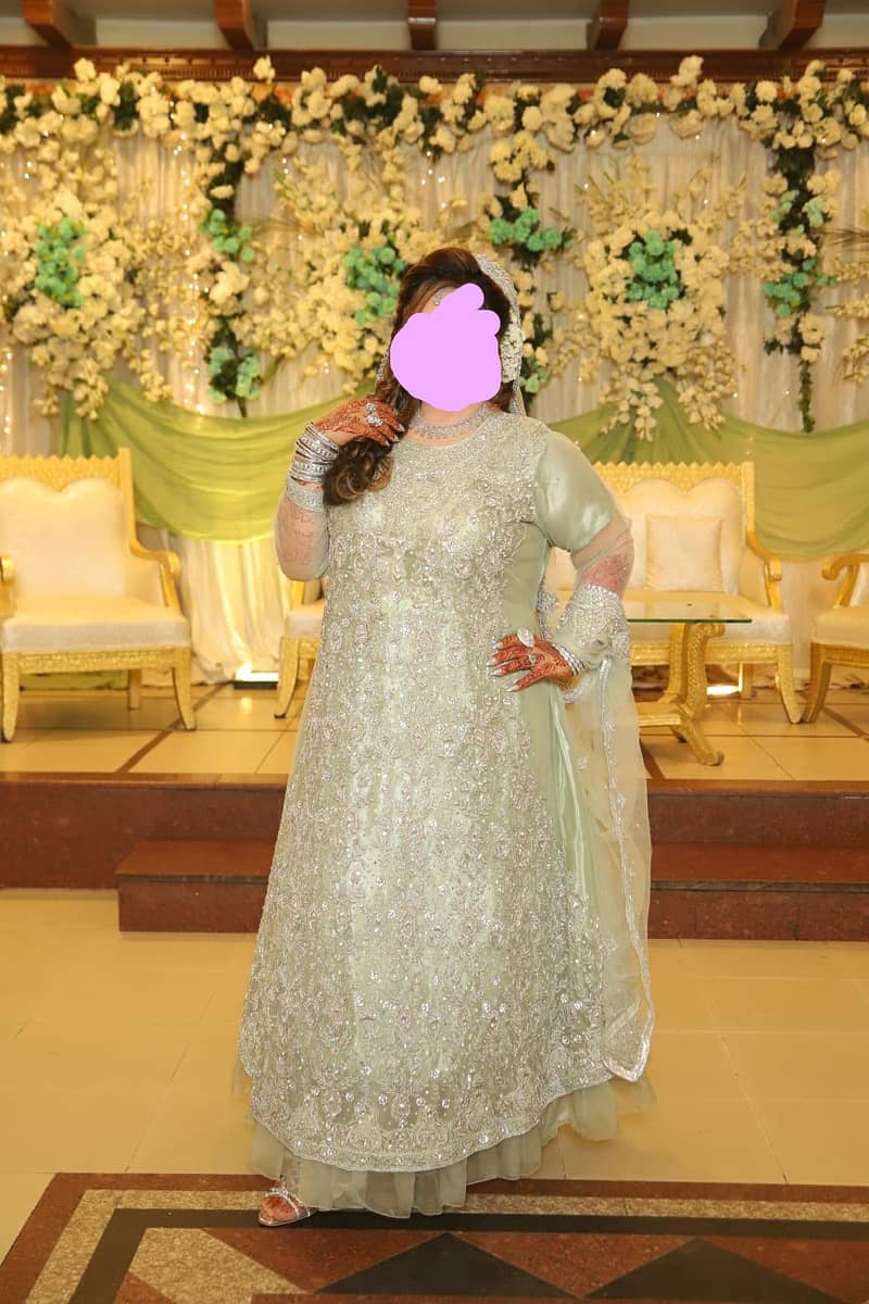 walima Maxy 1