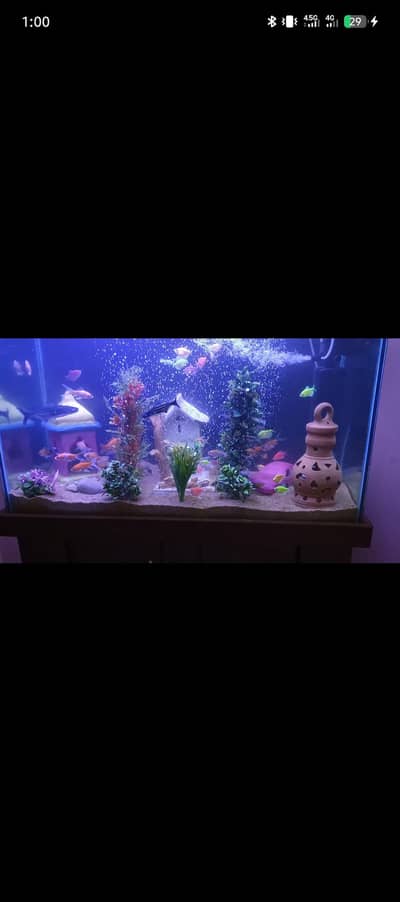 aquarium setup for sale