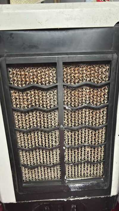 Room Air Cooler