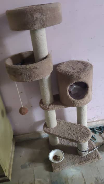 Cat house tree full size