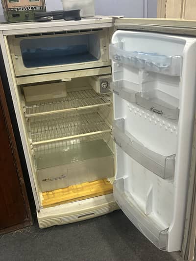 Pel room fridge