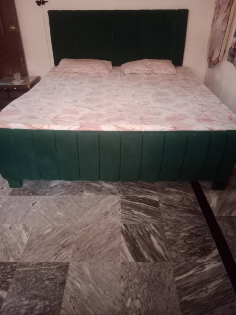 cushion Bed  0