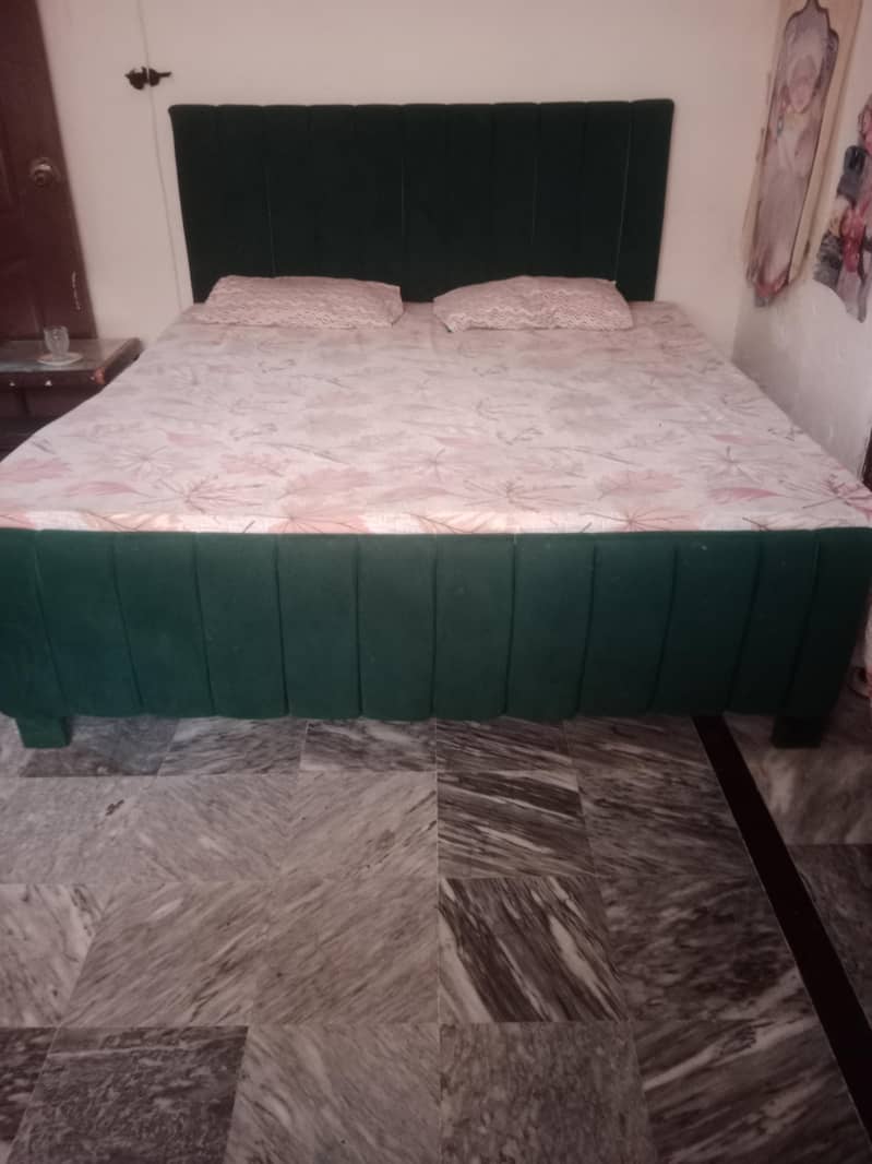 cushion Bed  1