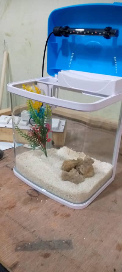aquarium