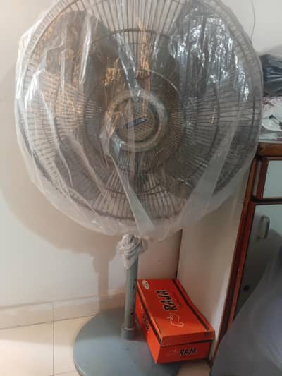 pak fan