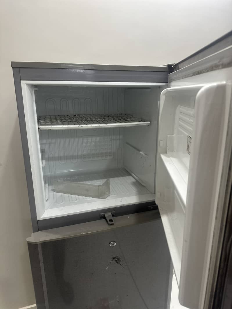 Freezer 4