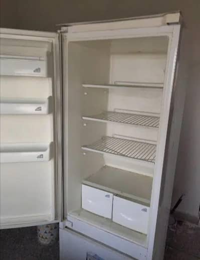 Large Size Fridge