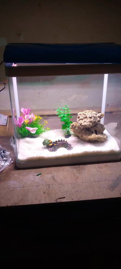 glass aquarium