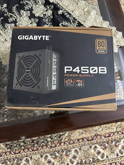 450W Gigabyte P450b
