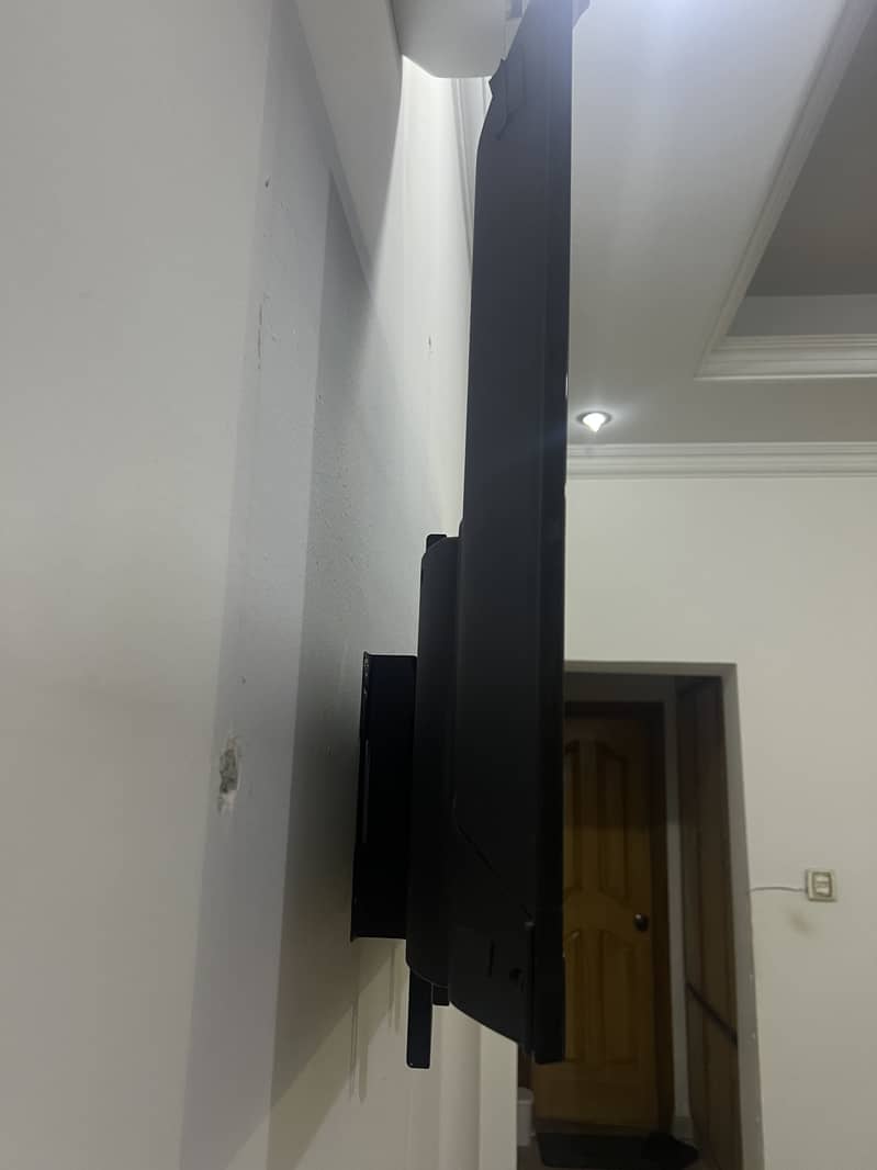 Orient LED 4