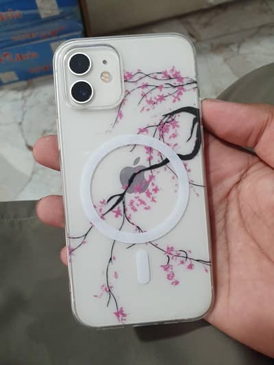 IPHONE 12 PTA APPROVED