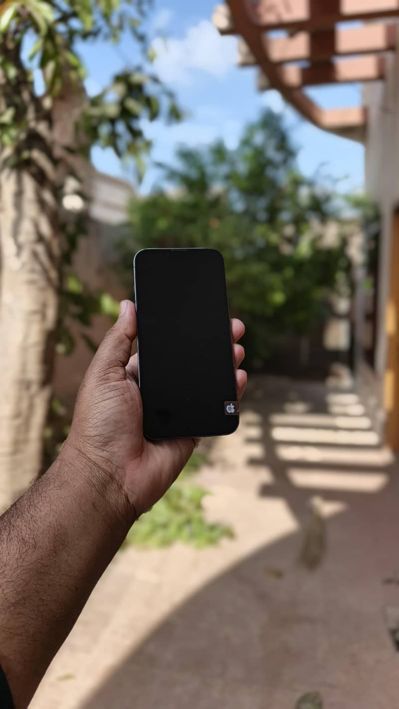 13 pro 2