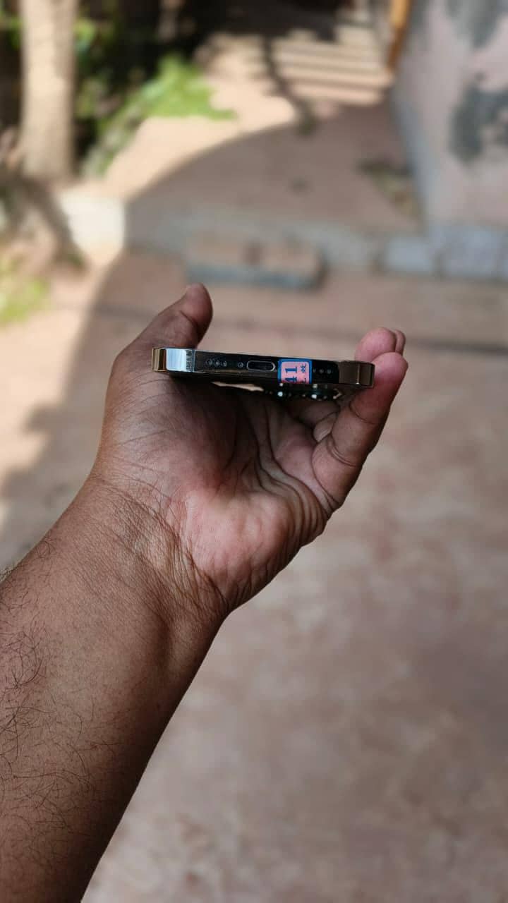 13 pro 4