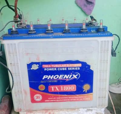 Phoenix Tubler Battery 1800 &  Osaka Tubler Battery 1800 boath are for