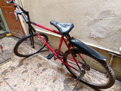 phonex cycle
