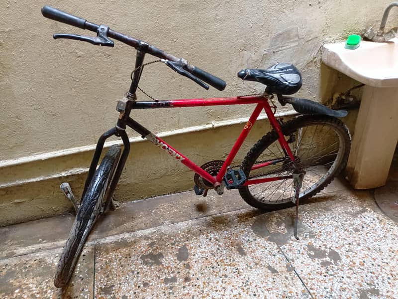 phonex cycle 1