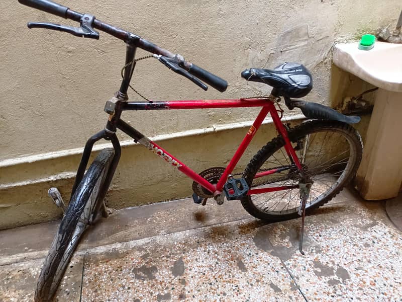 phonex cycle 2