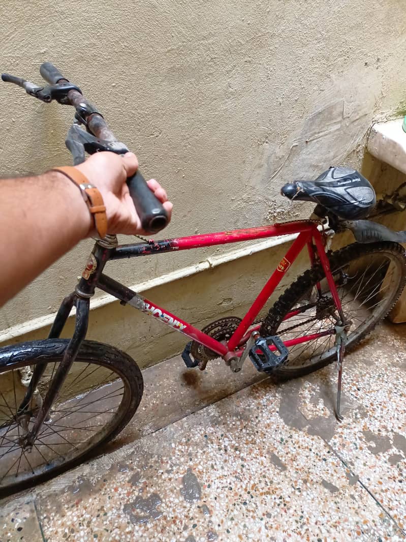 phonex cycle 3