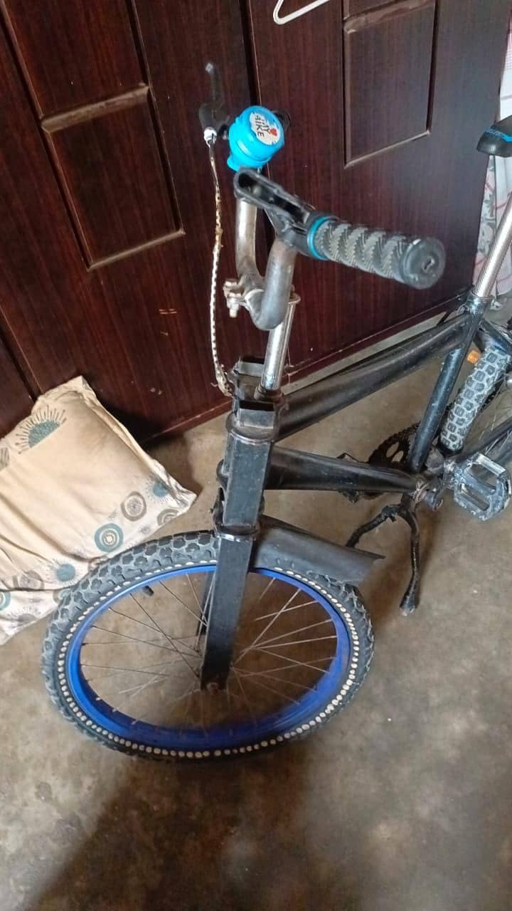 Cycle  1