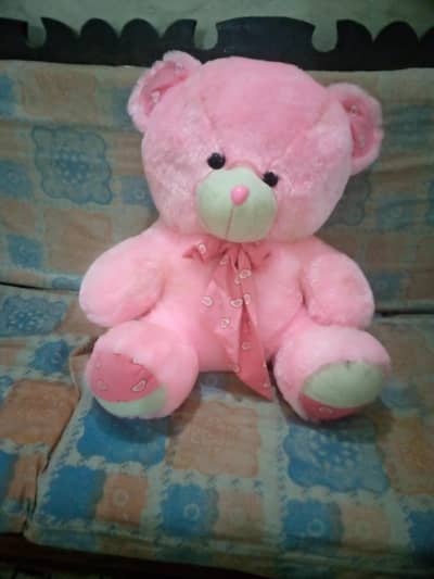 Teddy
