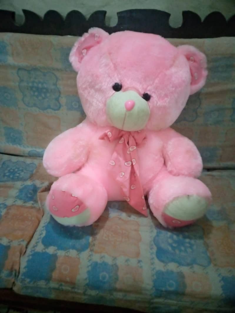 Teddy 0