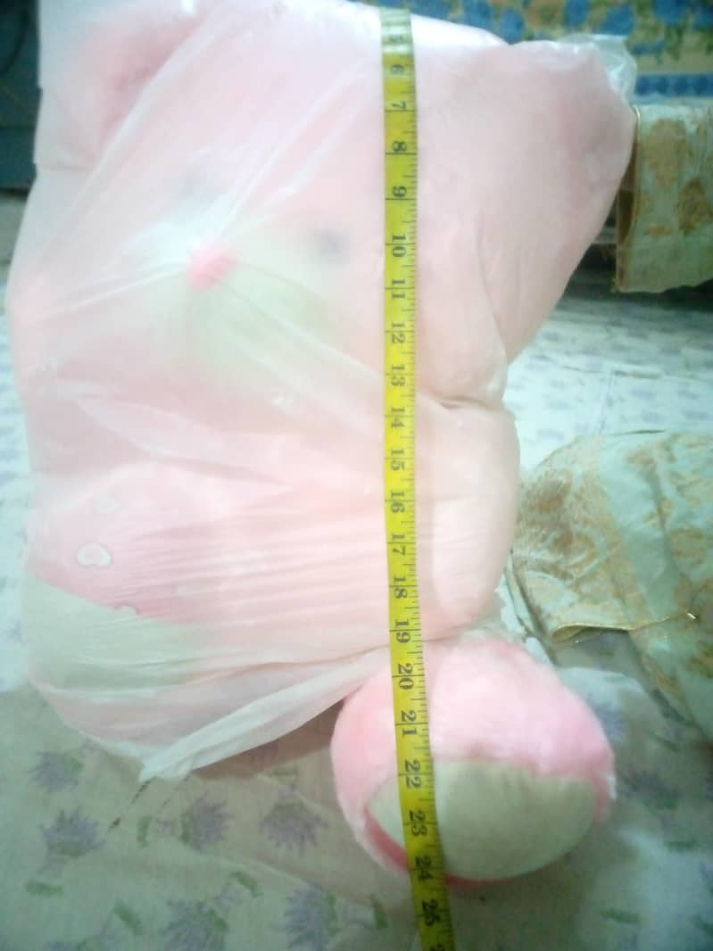 Teddy 1