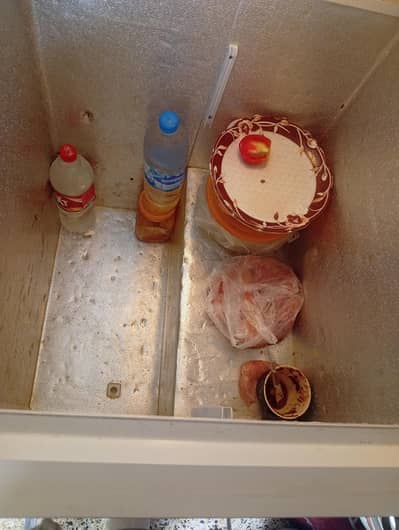 haier deep freezer