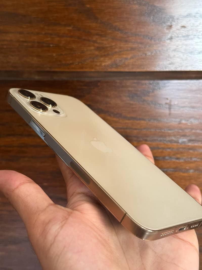 Iphone 12Pro Max 1
