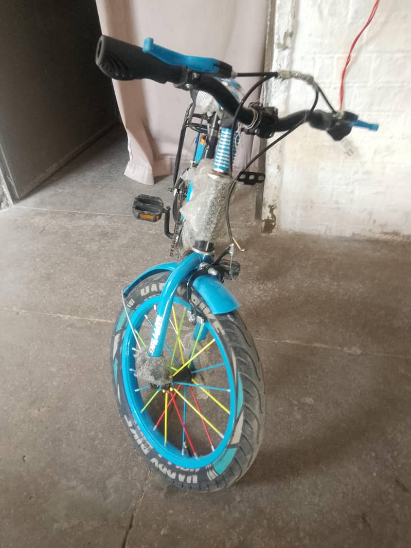 bicycle 1