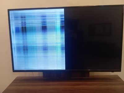 TV all fine just panel need to change