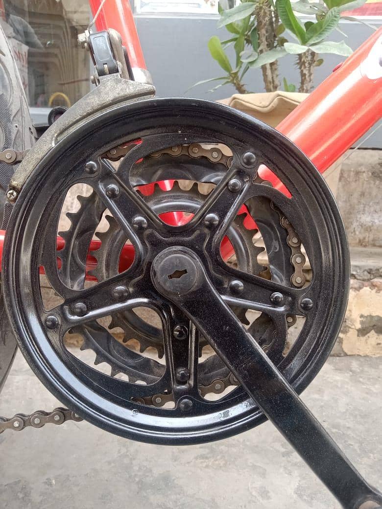 coca imported cycle 6